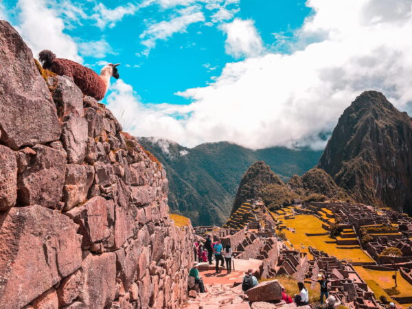 Cusco y Machu Picchu 5 Días y 4 Noches